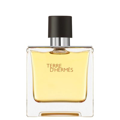 Hermes Terre d`Hermes EDT 100 ml - Парфюм за мъже