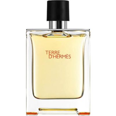 Hermes Terre Intense Vetiver EDP 100 ml – Парфюм за мъже